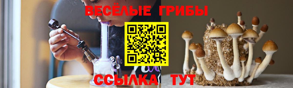 Псилоцибиновые грибы мицелий  Вход с VPN  сколько стоит  Псилоцибиновые грибы прущие грибы  Ирбит 